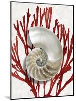 Shell Coral Red II-Caroline Kelly-Mounted Art Print