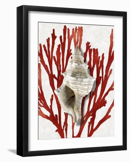 Shell Coral Red III-Caroline Kelly-Framed Art Print