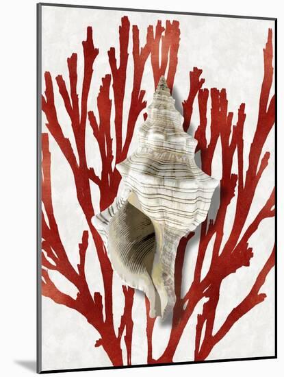 Shell Coral Red III-Caroline Kelly-Mounted Art Print