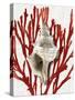 Shell Coral Red III-Caroline Kelly-Stretched Canvas