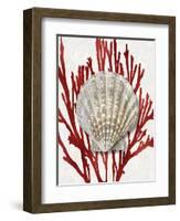 Shell Coral Red IV-Caroline Kelly-Framed Art Print