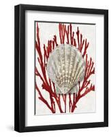 Shell Coral Red IV-Caroline Kelly-Framed Art Print