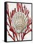 Shell Coral Red IV-Caroline Kelly-Framed Stretched Canvas