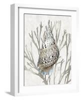 Shell Coral Silver I-Caroline Kelly-Framed Art Print