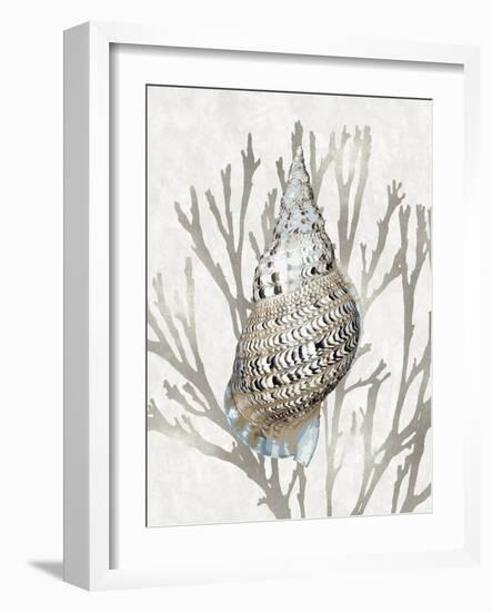 Shell Coral Silver I-Caroline Kelly-Framed Art Print