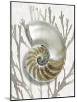 Shell Coral Silver II-Caroline Kelly-Mounted Art Print