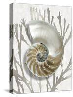 Shell Coral Silver II-Caroline Kelly-Stretched Canvas
