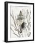 Shell Coral Silver III-Caroline Kelly-Framed Art Print