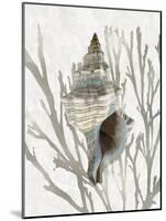 Shell Coral Silver III-Caroline Kelly-Mounted Art Print