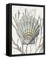 Shell Coral Silver IV-Caroline Kelly-Framed Stretched Canvas