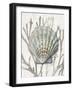 Shell Coral Silver IV-Caroline Kelly-Framed Art Print