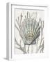 Shell Coral Silver IV-Caroline Kelly-Framed Art Print