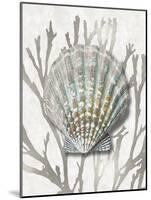 Shell Coral Silver IV-Caroline Kelly-Mounted Art Print