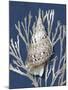 Shell Coral Silver on Blue I-Caroline Kelly-Mounted Art Print