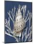 Shell Coral Silver on Blue I-Caroline Kelly-Mounted Art Print