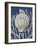 Shell Coral Silver on Blue IV-Caroline Kelly-Framed Art Print