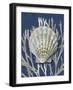 Shell Coral Silver on Blue IV-Caroline Kelly-Framed Art Print