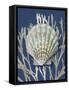 Shell Coral Silver on Blue IV-Caroline Kelly-Framed Stretched Canvas