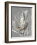 Shell Coral Silver on Gray I-Caroline Kelly-Framed Art Print