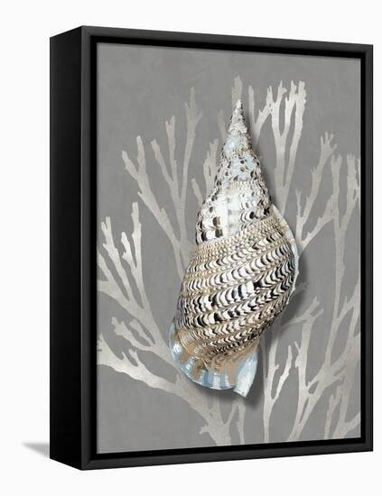 Shell Coral Silver on Gray I-Caroline Kelly-Framed Stretched Canvas