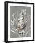 Shell Coral Silver on Gray I-Caroline Kelly-Framed Art Print