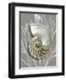 Shell Coral Silver on Gray II-Caroline Kelly-Framed Art Print