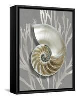 Shell Coral Silver on Gray II-Caroline Kelly-Framed Stretched Canvas