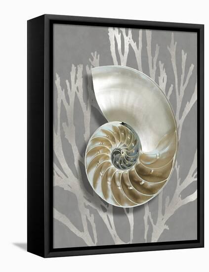 Shell Coral Silver on Gray II-Caroline Kelly-Framed Stretched Canvas