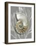 Shell Coral Silver on Gray II-Caroline Kelly-Framed Art Print