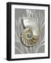 Shell Coral Silver on Gray II-Caroline Kelly-Framed Art Print