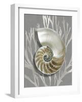 Shell Coral Silver on Gray II-Caroline Kelly-Framed Art Print