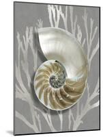 Shell Coral Silver on Gray II-Caroline Kelly-Mounted Art Print