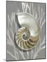 Shell Coral Silver on Gray II-Caroline Kelly-Mounted Art Print