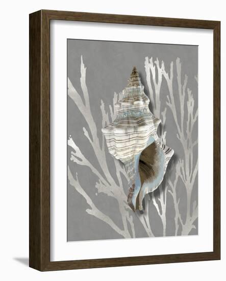 Shell Coral Silver on Gray III-Caroline Kelly-Framed Art Print