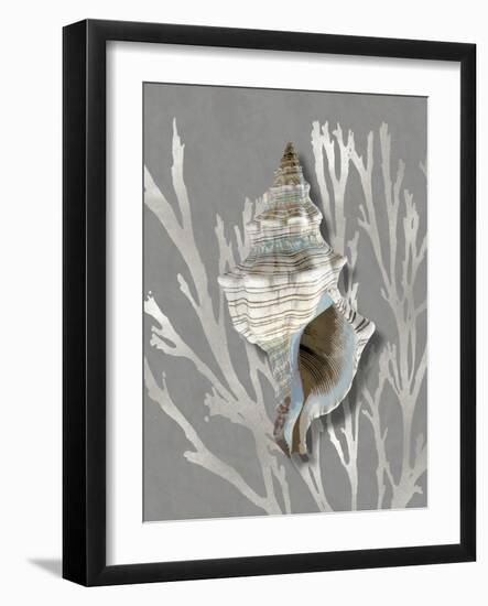 Shell Coral Silver on Gray III-Caroline Kelly-Framed Art Print