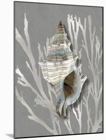 Shell Coral Silver on Gray III-Caroline Kelly-Mounted Art Print