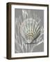 Shell Coral Silver on Gray IV-Caroline Kelly-Framed Art Print