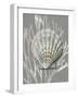 Shell Coral Silver on Gray IV-Caroline Kelly-Framed Art Print