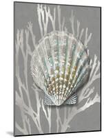 Shell Coral Silver on Gray IV-Caroline Kelly-Mounted Art Print