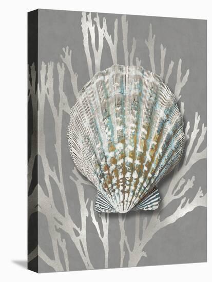 Shell Coral Silver on Gray IV-Caroline Kelly-Stretched Canvas