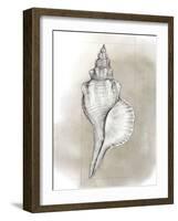 Shell Diagram I-Grace Popp-Framed Art Print