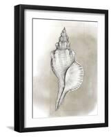 Shell Diagram I-Grace Popp-Framed Art Print