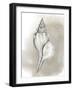 Shell Diagram I-Grace Popp-Framed Art Print