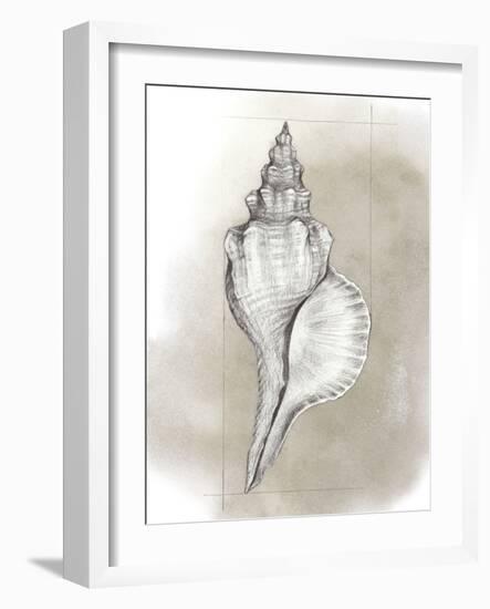 Shell Diagram I-Grace Popp-Framed Art Print