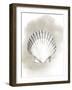 Shell Diagram II-Grace Popp-Framed Art Print