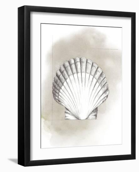 Shell Diagram II-Grace Popp-Framed Art Print