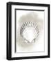 Shell Diagram II-Grace Popp-Framed Art Print