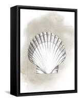 Shell Diagram II-Grace Popp-Framed Stretched Canvas