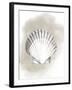 Shell Diagram II-Grace Popp-Framed Art Print