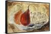 Shell, Dish and Fruit-Christopher Wood-Framed Stretched Canvas